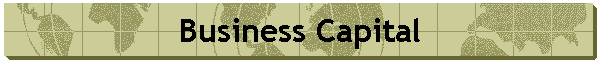 Business Capital