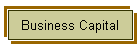 Business Capital